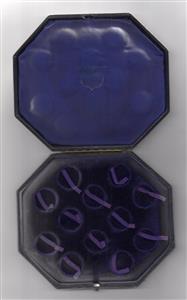 Contemporary case to hold 12 half sovereigns image 1